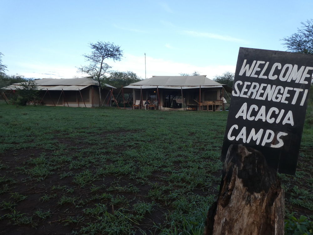 Serengeti Acacia Central Camp Exterior foto